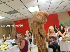 Bridal party gets nasty when the Dancing Bear arrives